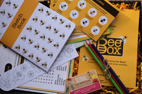 Urbee Bee Box